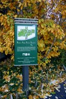 Billboard map part of the sign system in Teardrop Park | CRA sign system design and consulting services