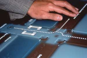 A tactile graphic map guiding sighted and visually impaired visitors through the exhibit