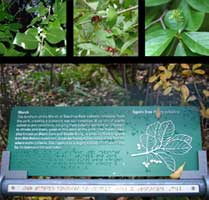 Information panel with braille raised letters and engraving part of the sign system and exhibit design program in Teardrop Park | CRA sign system design and consulting services